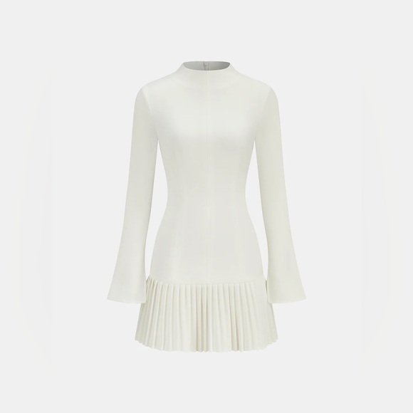 Pleated Hem Mock Neck Mini Dress - Picture 3 of 3